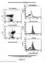 Fig. 03 - PHARMACODYNAMIC ASSAYS