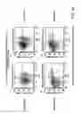 Fig. 06 - PHARMACODYNAMIC ASSAYS