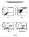 Fig. 08 - PHARMACODYNAMIC ASSAYS