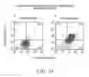Fig. 12 - PHARMACODYNAMIC ASSAYS