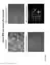 Fig. 03 - Methods for the determination of compounds or compositions for the treatment of lipofuscin related diseases and compounds or compositions