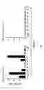 Fig. 04 - MAGNETIC PROGRAMMABLE BEAD ENZYME-LINKED IMMUNOSORBENT ASSAY