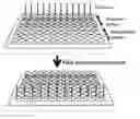 Fig. 01 - Shaped articles including hydrogels and methods of manufacture and use thereof
