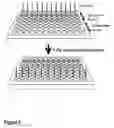 Fig. 03 - Shaped articles including hydrogels and methods of manufacture and use thereof