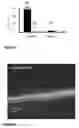 Fig. 04 - Shaped articles including hydrogels and methods of manufacture and use thereof