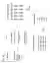 Fig. 09 - Sandwich assays in droplets