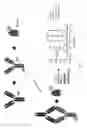 Fig. 08 - Assays for detecting neutralizing autoantibodies to biologic therapy