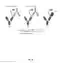 Fig. 21 - Assays for detecting neutralizing autoantibodies to biologic therapy