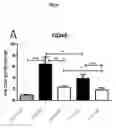 Fig. 04 - Methods and compositions for the prediction and treatment of focal segmental glomerulosclerosis