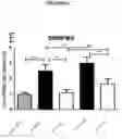 Fig. 08 - Methods and compositions for the prediction and treatment of focal segmental glomerulosclerosis