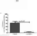 Fig. 17 - Methods and compositions for the prediction and treatment of focal segmental glomerulosclerosis