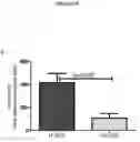Fig. 18 - Methods and compositions for the prediction and treatment of focal segmental glomerulosclerosis