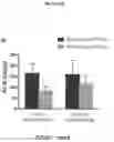 Fig. 23 - Methods and compositions for the prediction and treatment of focal segmental glomerulosclerosis