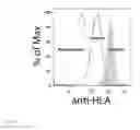 Fig. 05 - CELLULAR PLATFORM FOR RAPID AND COMPREHENSIVE T-CELL IMMUNOMONITORING