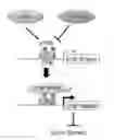 Fig. 01 - METHODS AND COMPOSITIONS FOR EVALUATING BREAST CANCER PATIENTS