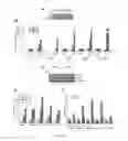 Fig. 04 - METHODS AND COMPOSITIONS FOR EVALUATING BREAST CANCER PATIENTS