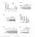 Fig. 07 - METHODS AND COMPOSITIONS FOR EVALUATING BREAST CANCER PATIENTS