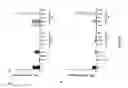 Fig. 08 - Biological marker for evaluating the IL-17 pro-inflammatory functional contribution dependent level in an individual