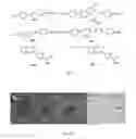 Fig. 02 - Molecular Probes for Detecting Lipids