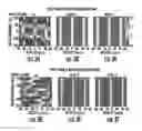 Fig. 04 - System and method for velocity selective pulses with arbitrary shape using MRI