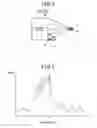 Fig. 05 - On-board radar apparatus and notification system