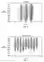 Fig. 04 - Coding of signals for efficient acquisition
