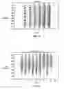 Fig. 07 - Coding of signals for efficient acquisition