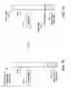 Fig. 08 - Diverging light from fiber optics illumination delivery systems