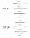 Fig. 04 - Zooming optical system, optical apparatus and method for manufacturing zooming optical system