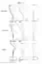 Fig. 03 - Projection zoom lens