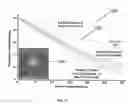 Fig. 12 - Total internal reflection aperture stop imaging