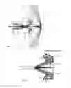 Fig. 05 - Endoscopic system