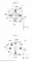 Fig. 04 - OPTICAL FIBER SCANNER, ILLUMINATING DEVICE, AND OBSERVATION APPARATUS
