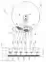 Fig. 08 - Display device with a collimated light beam
