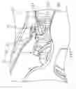 Fig. 08 - Glasses structure