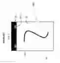 Fig. 06 - Multicolored pressure sensitive liquid crystal device