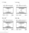 Fig. 60 - Display device and electronic device