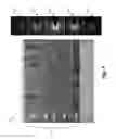 Fig. 20 - Electrochromic devices