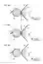 Fig. 09 - Transfer device applying a voltage for transfering a toner image to a member disposed opposite a transfer member with an image carrier therebetween