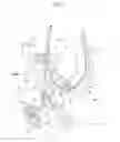 Fig. 03 - Sheet conveying device and image forming apparatus