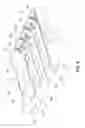 Fig. 07 - Image forming apparatus having a rotatable development carrying member disposed in a particular relation to a developer supply roller
