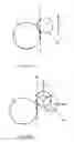Fig. 14 - Image forming apparatus having a rotatable development carrying member disposed in a particular relation to a developer supply roller