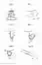 Fig. 02 - Method for treatment of timepiece components on a rack, and a rack