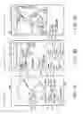 Fig. 10 - Time display device, time display method, and recording medium