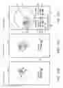 Fig. 13 - Time display device, time display method, and recording medium