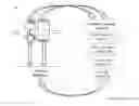 Fig. 01 - Mobile device pairing