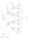 Fig. 85 - Techniques for metadata processing