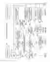 Fig. 07 - Analyzing Web Site for Translation