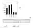 Fig. 09 - Natural language embellishment generation and summarization for question-answering systems