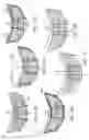Fig. 15 - Topological change in a constrained asymmetrical subdivision mesh